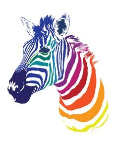a colourful zebra